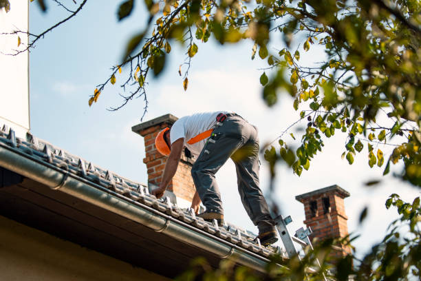 Best Roof Leak Repair  in Avenel, NJ